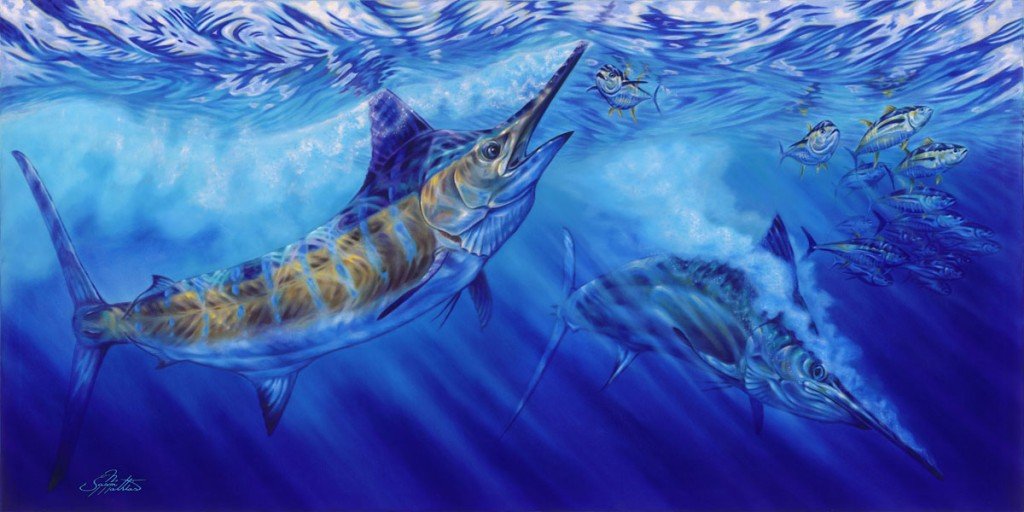 blue-marlin-art-jason-mathias-billfish-art-gamefish-art-sport-fish-art-underwater
